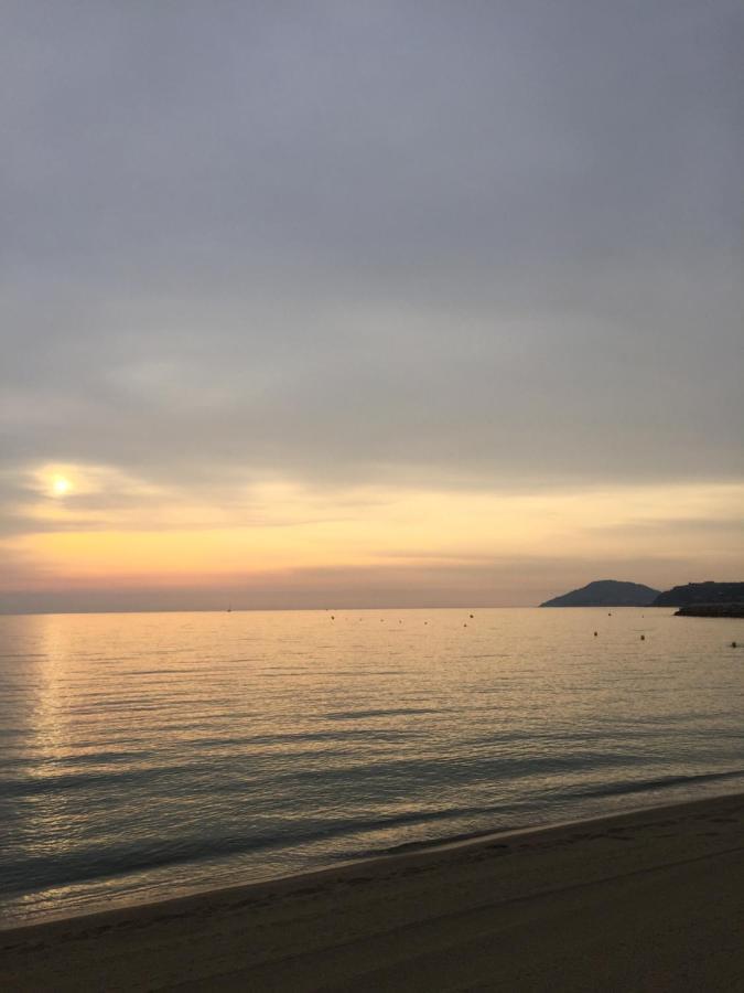 Les Pieds Dans Le Sable Appartement Argelès-sur-Mer Buitenkant foto