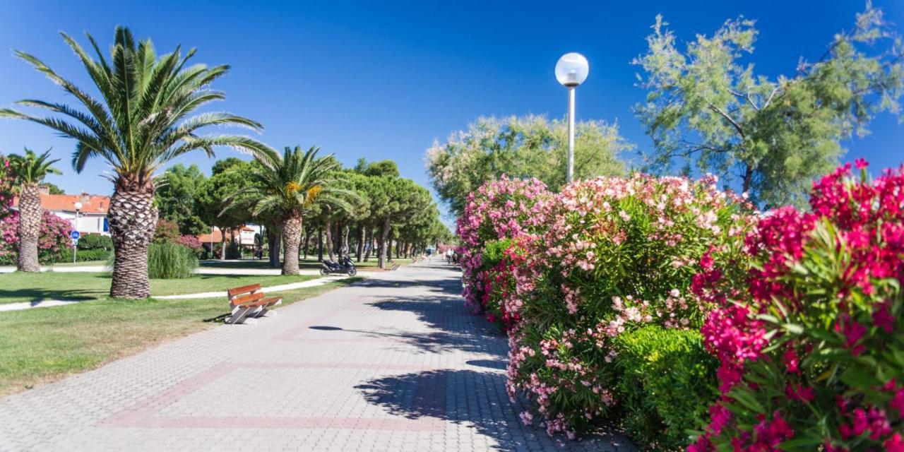 Les Pieds Dans Le Sable Appartement Argelès-sur-Mer Buitenkant foto